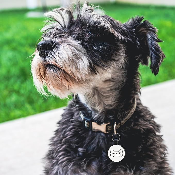 MYLUCKYTAG Silent Silicone QR Code Dog Tags - Scan QR for Instant Pet Location Alerts