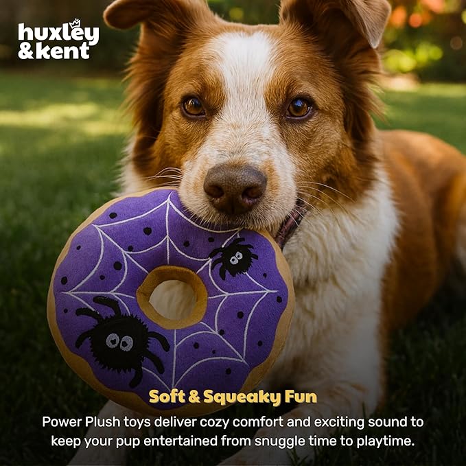 Huxley & Kent Halloween Funny Dog Toy w/Squeaker – Power Plush Squeaky Dog Toys for Small, Medium & Large Dogs – Soft Stuffed Animal for Indoor Play & Fetch - Spiderweb Donut, One Size