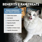 Northwest Naturals Raw Rewards Freeze-Dried Whitefish Treats for Dogs and Cats - Bite-Sized Pieces - Healthy, 1 Ingredient, Human Grade Pet Food, All Natural, Proudly Made in USA, 2.5 Oz