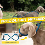 Fida 2-in-1 Slip Leads for Dogs with Double Handles, Tangle Free Leash for Large Dogs That Pull, Heavy Duty No Pull Training Leash Reflective Soft Padded for Large & Medium Breed(6ft,Blue)