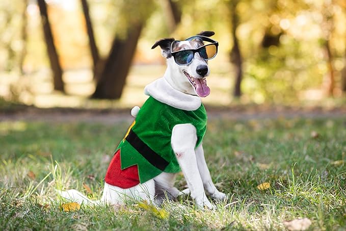 Funny Elf Dog & Cat Costume - Christmas Party Outfit, Winter Coat for Dogs & Puppies (S)