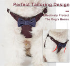 Puppytie No Pull xs Dog Harness with Multifunction Dog Leash,Soft Adjustable No Choke Escape Proof Pet Harness Vest,Plaid deep red,xs