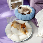 Lesure Cat Beds for Indoor Cats - Washable Cute Cat Beds with Versatile Dual-Use Design, Reversible Donut Pet Bed for Puppy and Kitten, 21x21x7 Inches