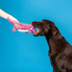 Fringe Studio Plush Dog Toy, Embrace Your Colors, Pet Shop Collection (314525)