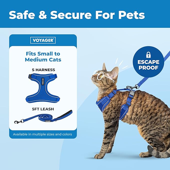 Voyager Escape-Proof Step-in Lock Cat Harness & 5ft Neoprene-Handle Leash Set All-Weather Mesh with Reflective Stitching for Small to Large Cats by Best Pet Supplies, Royal Blue (327), M