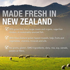 K9 Natural Wet Dog Food Pate, Lamb Feast, 13 Oz Cans (Pack of 12), Grain Free, Made in New Zealand with Grass-Fed, Free-Range Lamb, Single Source, Limited Ingredient