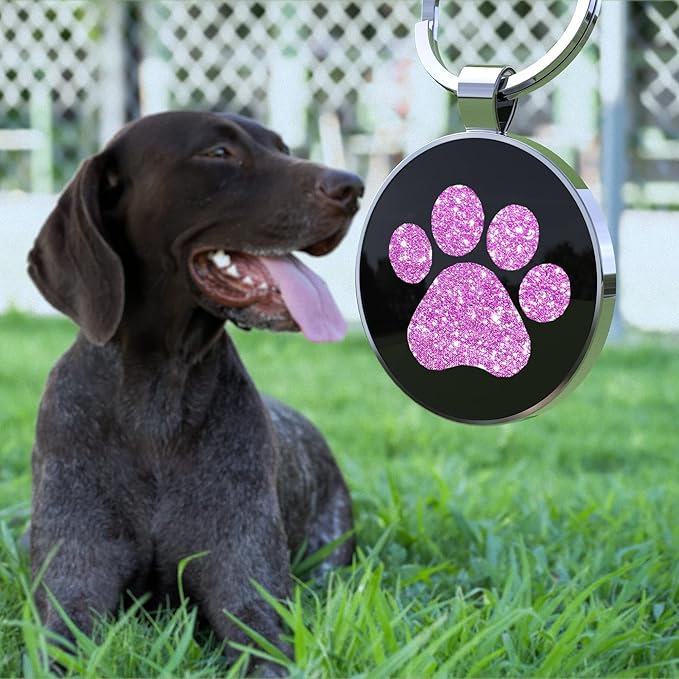 Personalized Dog Tags - Custom QR Code Pet ID Tags - Free Online Scan & Receive Instant Pet Location Alert Email