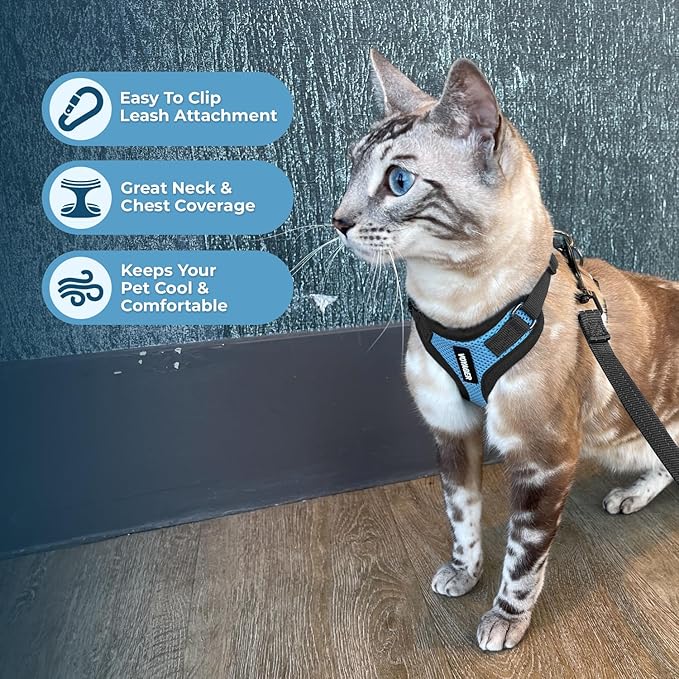 Voyager Escape-Proof Step-in Lock Cat Harness & 5ft Neoprene-Handle Leash Set All-Weather Mesh with Reflective Stitching for Small to Large Cats by Best Pet Supplies, Baby Blue/Black Trim, S