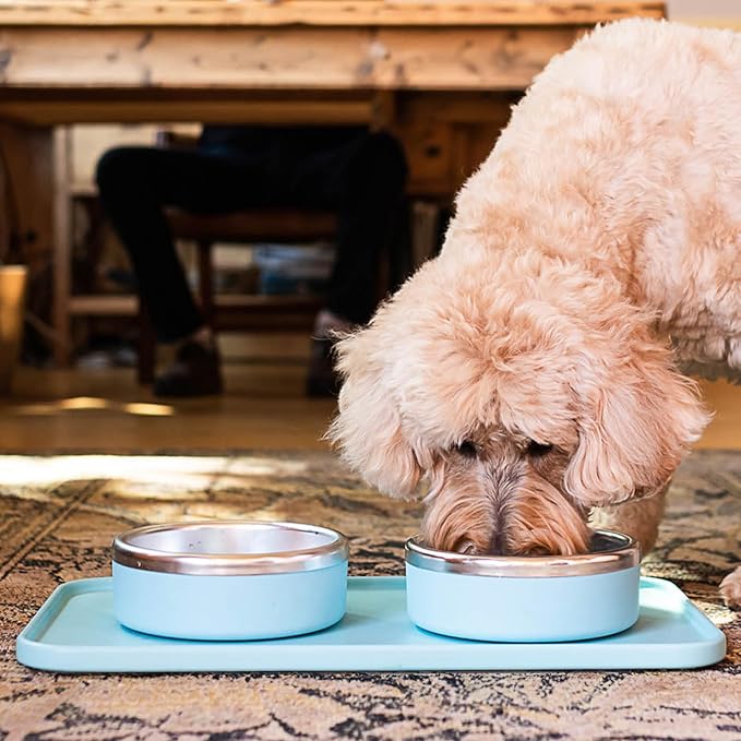Trot Pets Premium Dog Bowls | Stainless Steel Bowl Set for Small, Medium, or Large Dogs | Non-Slip Food and & Water Slow Feeder | Durable, BPA-Free, Anti-Skid, Dishwasher Safe (Sky, Medium)