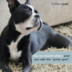 BrilliantPad Go Here! Puppy Potty Training Spray | Natural Attractant, Dog & Puppy Home Housebreaking Aid for Pets | Safe for Animals, Furniture & Plants | Use on Pee Pads Indoor & Outdoor | 4oz