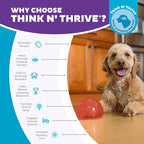 Outward Hound Lil' Snoop Interactive Treat Dispensing Dog Toy, Puzzle Ball Slow Feeder for Small to Medium Dogs, Mint-Scented for Mental Stimulation & Boredom Relief, BPA-Free, 3.9-Inch, Red