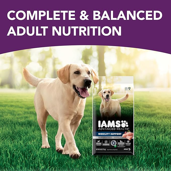 IAMS Advanced Health Mobility Support Chicken and Whole Grain Recipe Adult Dry Dog Food, 6 lb. Bag