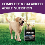 IAMS Advanced Health Mobility Support Chicken and Whole Grain Recipe Adult Dry Dog Food, 6 lb. Bag