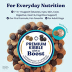 Solid Gold Lamb Dog Food Dry for Adult & Senior Dogs– High Protein Healthy Dog Kibble for Medium & Large Breeds – Whole Grain, Omega 3 & Probiotics for Gut Health & Digestion – Nutrientboost™ –22LB