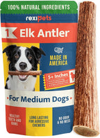 100% Natural - Elk Antlers for Dogs - Naturally Shed in USA - Dog Antler Chews for Medium Breeds - Natural, Long-Lasting Treats for Aggressive Chewers - Dog Chews - No Smell & No Mess - Medium