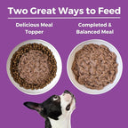 KOHA Limited Ingredient Diet Kangaroo Entrée for Dogs - Grain Free Wet Dog Food with No Fillers - Sensitive Stomach Kangaroo Dog Food, 13 oz - Trial Pack (3 Cans)