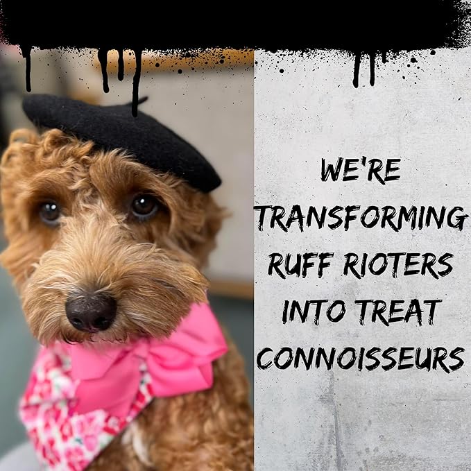 Freeze Dried Beef Liver for Dogs & Cats – Single Ingredient Dog Treats – USA Sourced & Made – High Protein, All Natural, Grain Free – Raw Freeze-Dried Training Treats (18oz)