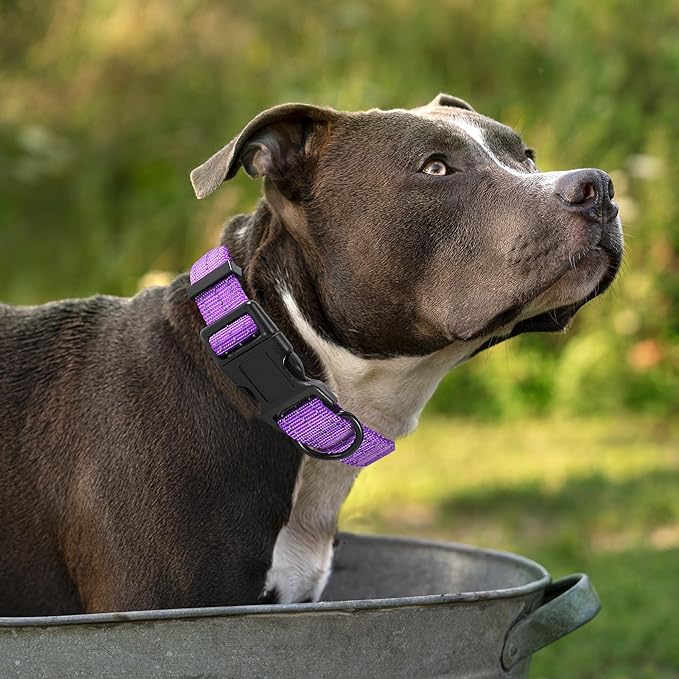 Mile High Life Dog Collar | Nylon Reflective Dog Collars | Light Weight Puppy Collars | Purple Dog Collars for Medium Dogs (Solid Purple, Medium)