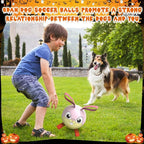 QDAN Rabbit Dog Toys Soccer Ball with Straps, Easter Day Dog Toys for Medium Small Dogs (6 Inch)