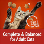 Purina Friskies Cat Treats, Party Mix Gravy-licious Crunch Chicken and Gravy Flavors - 20 oz. Pouch