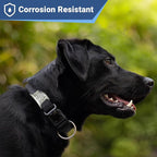 GoTags Slide-On Pet ID Tags, Personalized Dog and Cat Collar Tags, Silent, No Noise Tags Made of Stainless Steel, Custom Engraved