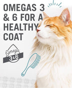 I and love and you Wet Cat Food - Ninja Cat Jiu Jit Stew Variety Pack - Chicken, Salmon, Tuna, Grain Free, Filler Free, 3oz Pack of 12 Cans