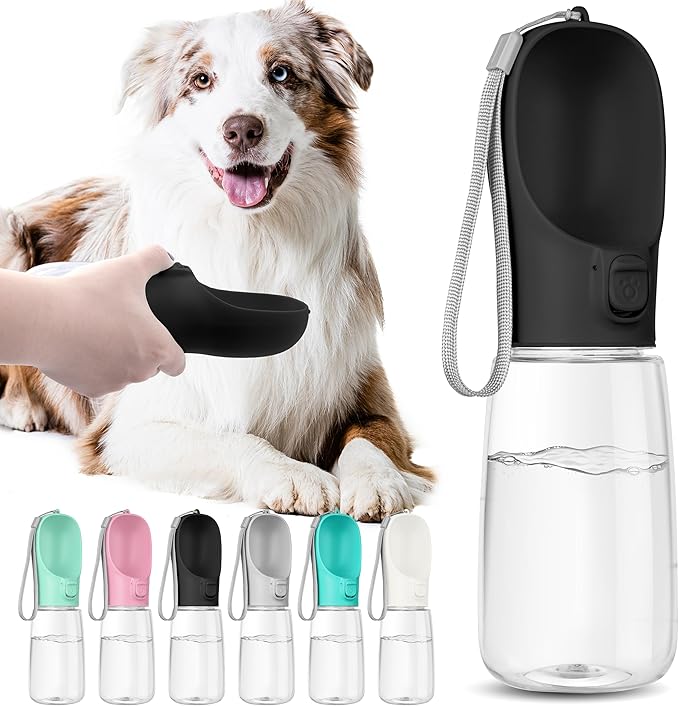 Portable Dog Water Bottle With Bowl - Travel Leak Proof Pet Accessory for Walking, Hiking and Camping (Black, 19oz)