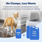PetSafe ScoopFree Premium Crystal Cat Litter - Ultra-Absorbent Silica Universal Litterbox Crystals - Non-Clumping Odor Control - Fresh Scent - 8 lb Bag