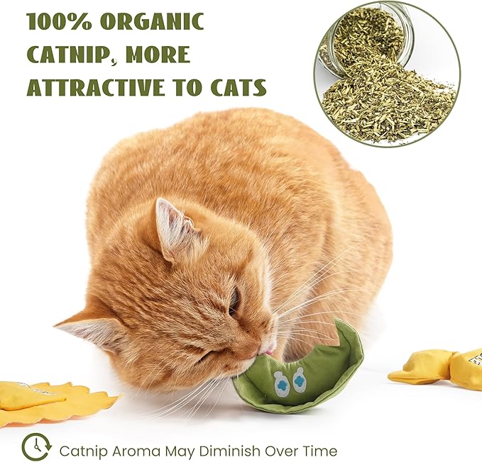 3 Pack Ravioli Catnip Toys for Indoor Cats, Interactive Cat Toys Filled with 100% Organic Catnip, Plush Chew Toys for Kittens, Teething Soft Catnip Toys for Cats