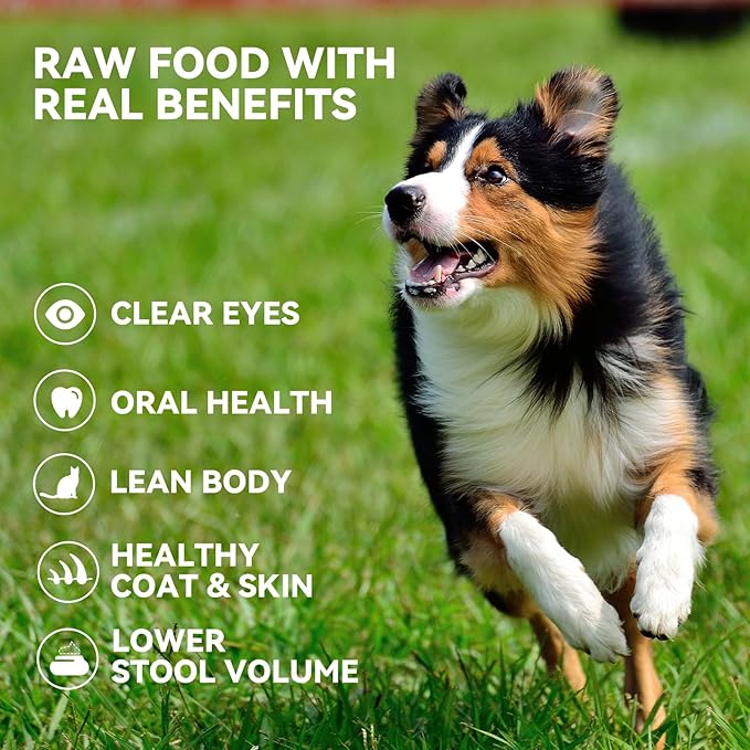 OPET Freeze Dried Cat & Dog Treats,Single Ingredient High Protein Grain Free Crunchy Cat Treats,Healthy Training Treats (4 Pack, Chicken & Pork)