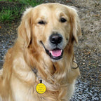 MYLUCKYTAG QR Code Silicone Pet ID Tag for Dogs and Cats - Online Profile, Location Alert Email, Digital and Quiet Tag, Durable Collar ID, Engraved