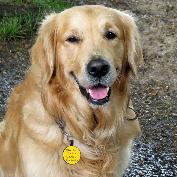 MYLUCKYTAG QR Code Silicone Pet ID Tag for Dogs and Cats - Online Profile, Location Alert Email, Digital and Quiet Tag, Durable Collar ID, Engraved