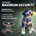 Doggie Design Venture Paw No Pull Dog Harness - Simple Adjustable Puppy Harness - Anti Pull Dog Collar for Walks and Outdoor Adventures - Dried Sage, M