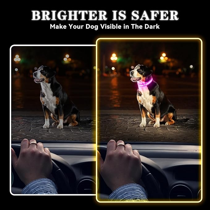 LED Light Up Dog Collar Rechargeable Waterproof, Glow in Dark Dog Collar, Lighted Dog Collars for Night Walking Charging USB, Safety for Small Medium Large Dogs (M, Pink)