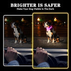 LED Light Up Dog Collar Rechargeable Waterproof, Glow in Dark Dog Collar, Lighted Dog Collars for Night Walking Charging USB, Safety for Small Medium Large Dogs (XL, Pink)