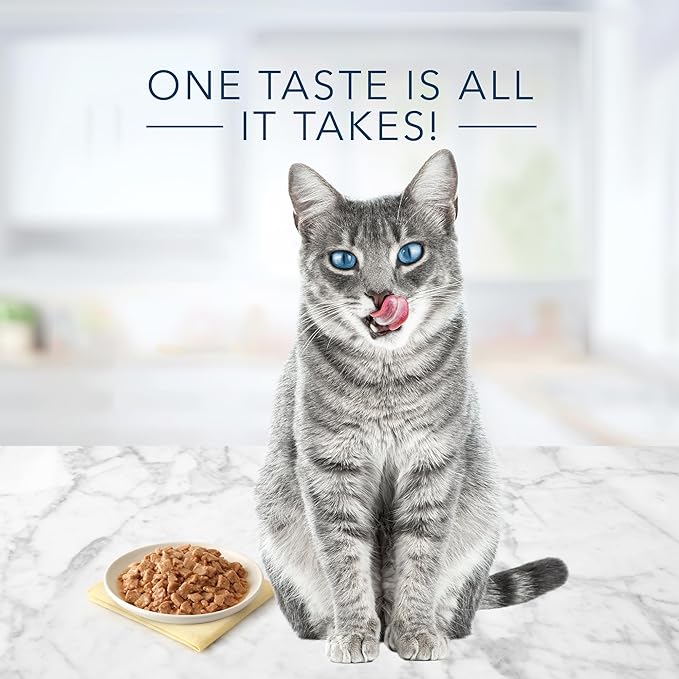 Blue Buffalo Tastefuls Flaked Wet Cat Food, Made with Natural Ingredients, Tuna Entrée in Gravy, 5.5-oz Cans (24 Count)