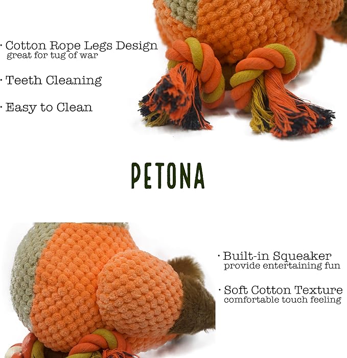 Squeaky Plush Dog Toys, Tug of War Dog Toy, Chicken Plush Puppy Toys with Pull Rope, Interactive Dog Toys for Small, Middle, and Big Dogs (Hen)