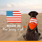 Nylabone Nutri Dent Dog Dental Treats - Natural Dog Teeth Cleaning & Breath Freshener - Dental Treats for Dogs - Filet Mignon Flavor, Mini (78 Count)