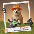 QDAN Halloween Dog Toys Soccer Ball: Premium Dog Soccer Balls with Straps- Outdoor Herding Balls Toys for Small Medium Dogs- Puppy Pet Birthday Gifts- 6 Inch Purple Green