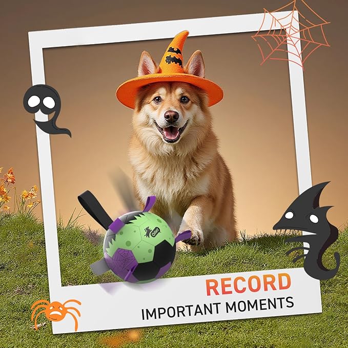 QDAN Halloween Dog Toys Soccer Ball: Premium Dog Soccer Balls with Straps- Outdoor Herding Balls Toys for Small Medium Dogs- Puppy Pet Birthday Gifts- 6 Inch Purple Green