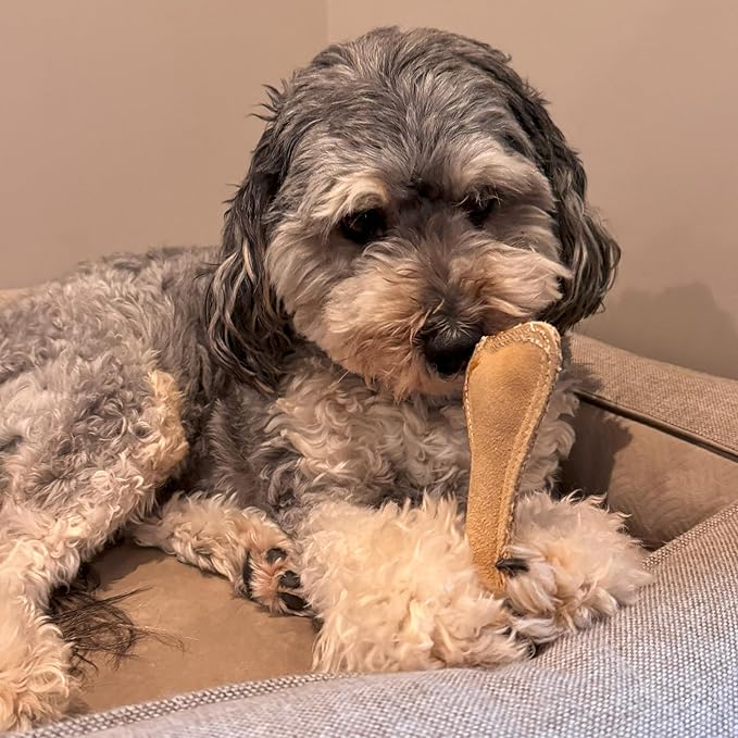 SPOT Dura-Fused Leather Small Bone Dog Toy – Durable Chew Toy with Real Leather & Jute, Squeaker, and Double-Stitched Seams for Moderate Chewers, Small & Medium Dogs, 7in