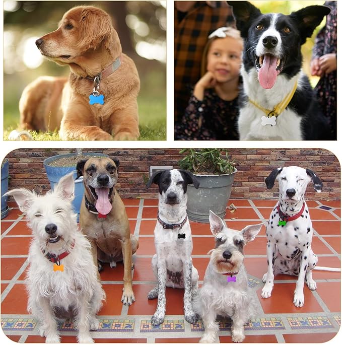 100 Pcs Blank Dog Pet ID Tags Number for Engraving 38MM Aluminum Bone Shape Name Tag Colorful Double Sided Dog Cat Phone Number Tag Pendants