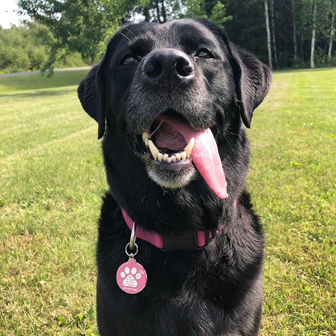 MYLUCKYTAG NFC & QR Code Smart Pet ID Tag - Personalized Dog & Cat Tag, Online Pet Profile, Location Alert Email