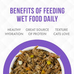 Weruva TruLuxe Cat Food, Steak Frites Dinner with Beef & Pumpkin in Gravy, 3oz Can (Pack of 24)