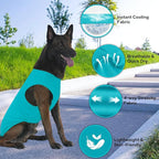 2 Pack Dog Shirts, Ice Pet Vest Dog Clothes for Instant Cooling, Ultra Lightweight Breathable Sleeveless T-Shirts for Large Dogs, Purple+Blue (M)
