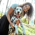 Dog Tags Personalized for Pets Custom Dog Tags Dog Name Tag QR Code Pet Tags Smart Pet ID Tags Free Online Pet Page Prevent Lost/Modifiable Colorful Paw Print