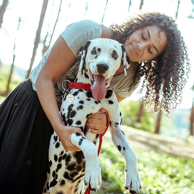 Dog Tags Personalized for Pets Custom Dog Tags Dog Name Tag QR Code Pet Tags Smart Pet ID Tags Free Online Pet Page Prevent Lost/Modifiable Colorful Paw Print