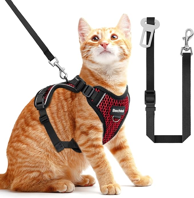 Cat Harness and Leash for Walking Escape Proof Soft Adjustable Cat Leash Breathable Honeycomb Structure Comfortable Vest Easy to Wear Kitten Harness for Outdoor Travel, Honeycomb Red, S