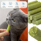 HavenJanny 100g Cat Grass Teething Stick, Freezed Drying Cat Grass Sticks Snacks for Cats, Edible Cats Treats for Teeth Cleaning and Hairball Removal