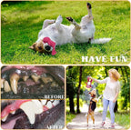 3-Layered Stuffed Dog Toys for Medium Large Dogs, Large Plush Squeaky Dog Toys to Keep Them Busy for Small Medium Large Breed, Cute Animals Puppy Teething Chew Toys - Pink Bear L